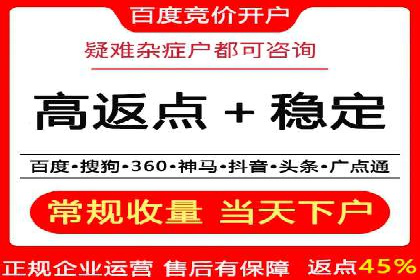 成功SEM服务案例分析报告